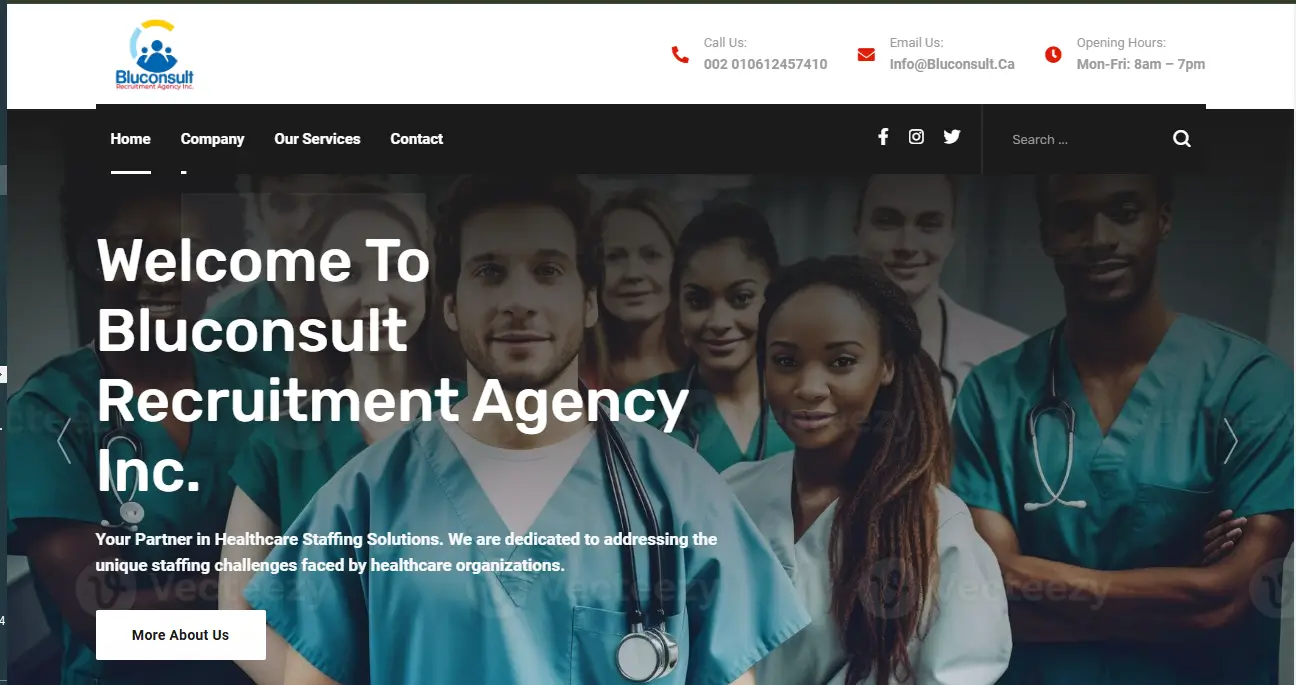 Bluconsult Recruitment Agency
